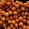 319-9536 Carrots